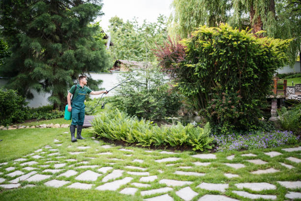 Best Best Pest Control Companies  in Payne, OH
