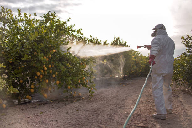 Best Pest Removal Services  in Payne, OH