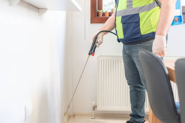 Wasp Removal Services in Payne, OH